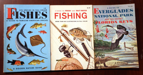 Golden Nature Guide Lot - FISHES, FISHING, EVERGLADES NATIONAL PARK/FLORIDA KEYS