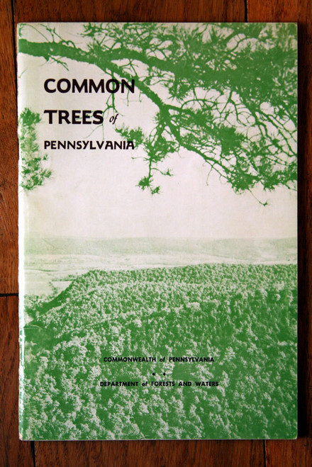 COMMON TREES OF PENNSYLVANIA 1963 Department of Forests and Waters VINTAGE BOOK