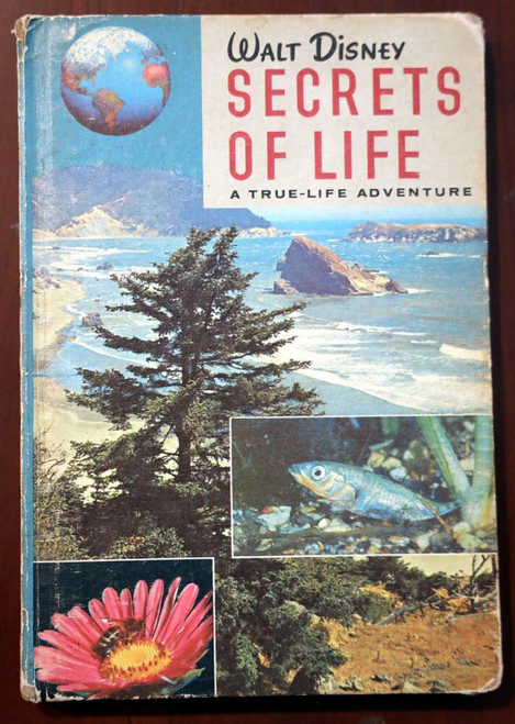 Walt Disney SECRETS OF LIFE True-Life Adventure 1957 Vintage Weekly Reader HC