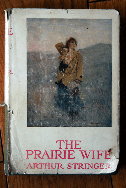 The Prairie Wife by Arthur Stringer 1915 HC/DJ Rare Vintage Novel HT Dunn CANADA