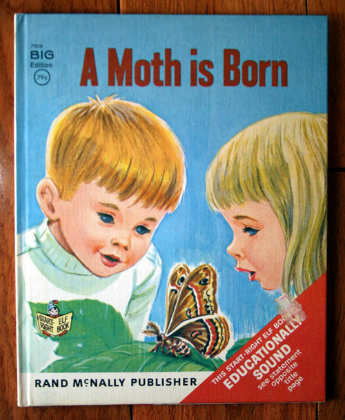 A Moth is Born 1967 Rand McNally Elf BIG EDITION #7908 Illustrated by Dottig