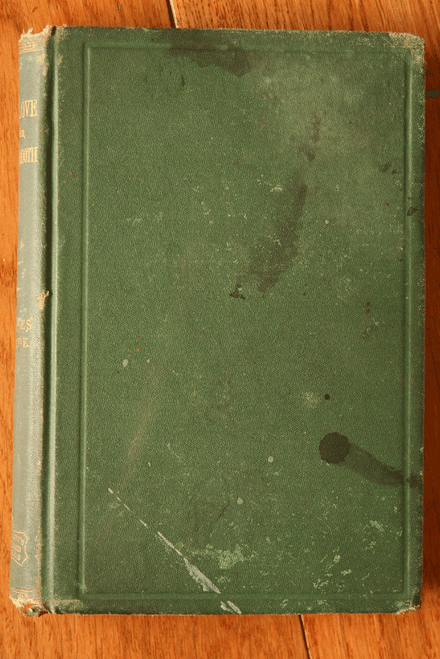 The Course of True Love Never Did Run Smooth by Charles Reade 1869 Antique RARE