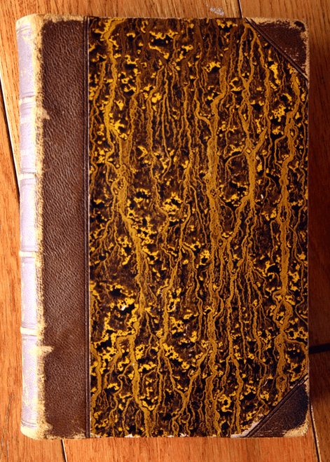 Curiosities of Literature by Isaac Disraeli Volume 2 William Veazie 1858 LEATHER