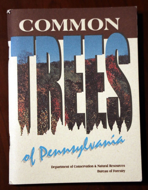 COMMON TREES of PENNSYLVANIA DCNR Forestry Vintage Field Guide PA Conservation