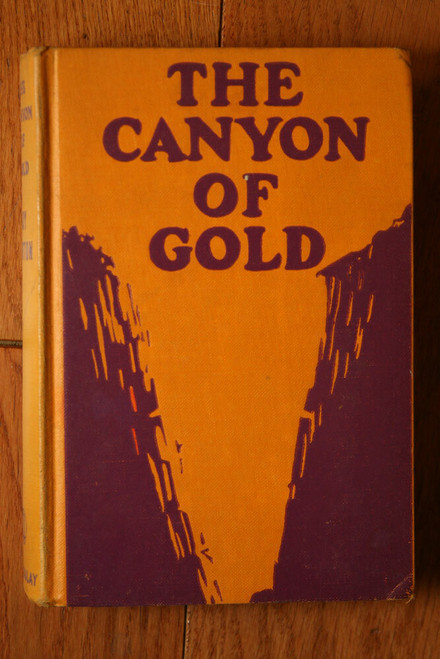 The Canyon of Gold by Roy Norton 1935 Rare Western Novel Macaulay Company