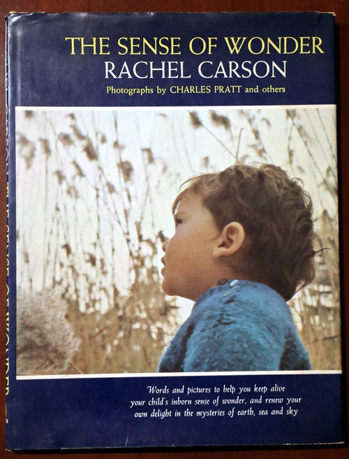 The Sense of Wonder by Rachel Carson/Charles Pratt Art 1965 HC/DJ Vintage Book