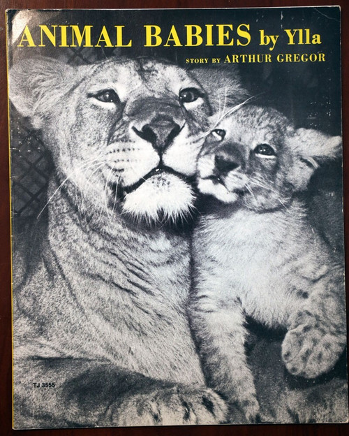 ANIMAL BABIES by YLLA 1959 Scholastic Paperback Story by Arthur Gregor VINTAGE