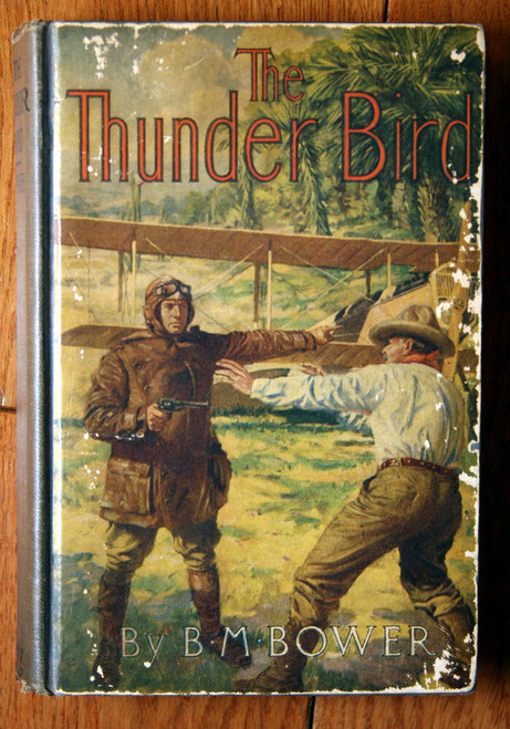 The THUNDER BIRD by B.M. Bower 1919 Illustrated by Anton Otto Fischer