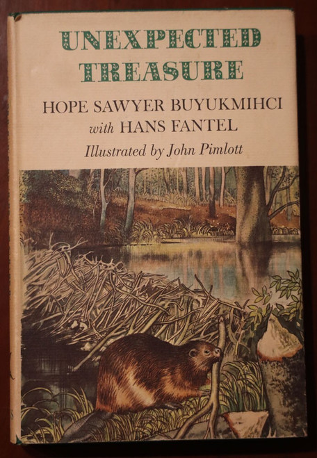 Unexpected Treasure by Hope Sawyer Buyukmihci / Hans Fantel 1968 1st Printing