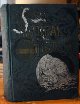 Wood's Illustrated Natural History 1st American Ed. Engraved by Brothers Dalziel