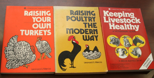 Raising Poultry the Modern Way + Own Turkeys MERCIA + Keeping Livestock Healthy