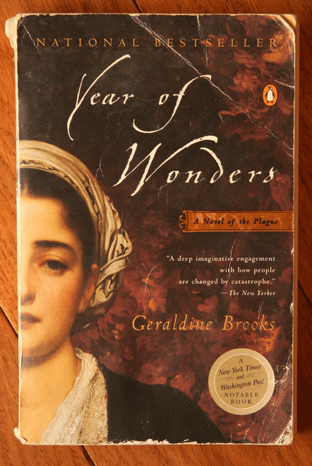 Year of Wonders: A Novel of the Plague by Geraldine Brooks (2001) Paperback