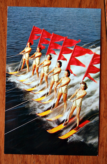 Beauty on Parade Cypress Gardens Ski Show Women Bathing Suits Postcard AQUAMAIDS