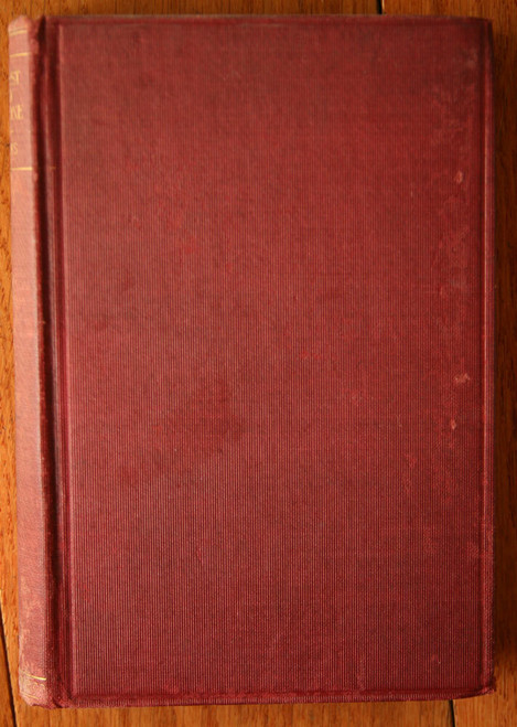 TEMPEST AND SUNSHINE by Mrs. Mary J. Holmes F.M. Lupton c. 1890 Antique Book
