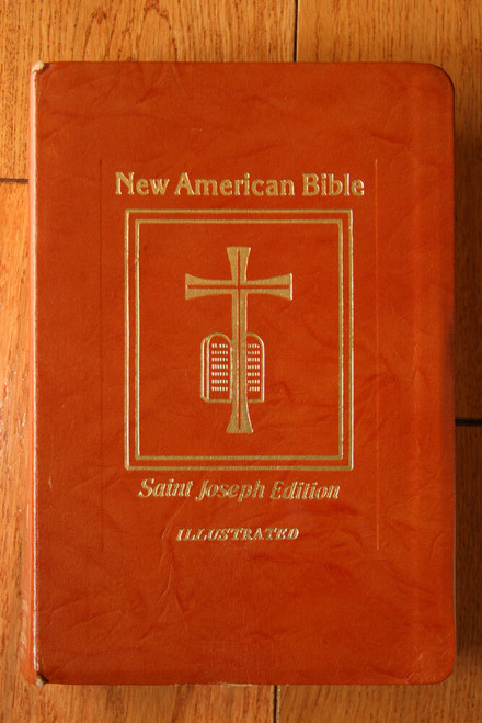 NEW AMERICAN BIBLE Saint Joseph Medium Size Edition ILLUSTRATED 1992 Catholic 
