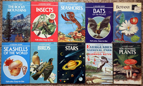 Lot of 10 Vintage GOLDEN Field GUIDES Non-Flowering Plants/Everglades/Birds ++