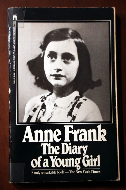 ANNE The Diary of a Young Girl 1972 Vintage Paperback WWII Holocaust ILLUSTRATED