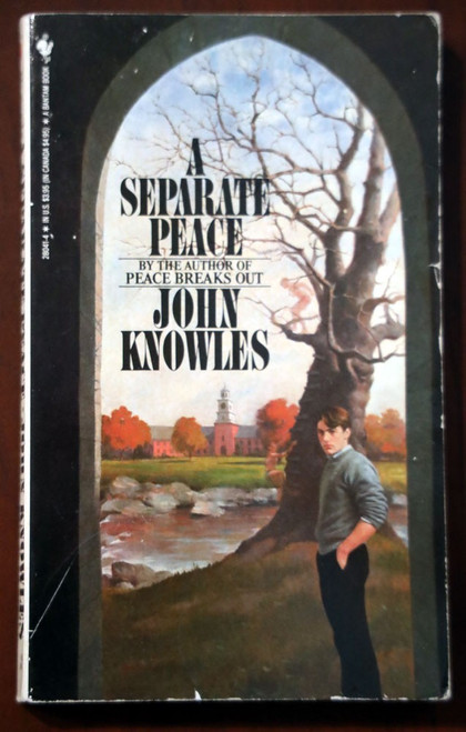A Separate Peace by John Knowles 1988 Vintage Paperback WWII Novel New England