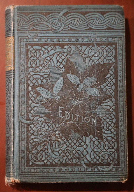 MADCAP VIOLET by William Black 1888 Butler Brothers Edition Antique Victorian HC