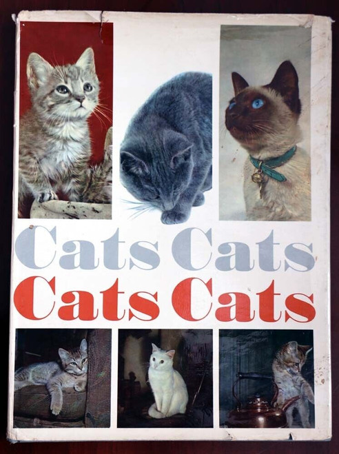 CATS CATS CATS by John R Gilbert 1968 Vintage Book HC/DJ Paul Hamlyn ILLUSTRATED