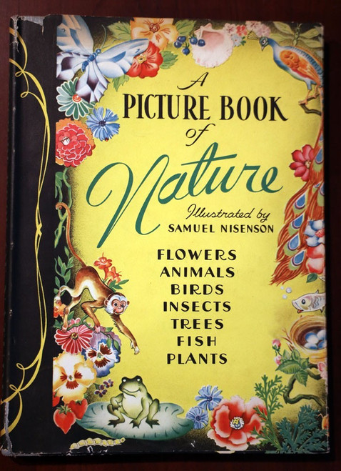 A Picture Book of Nature 1943 Illustrated by Samuel Nisenson HC/DJ Flowers/Birds