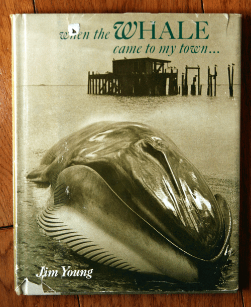 When the Whale Came to My Town by Jim Young 1974 HC/DJ First Edition RARE!