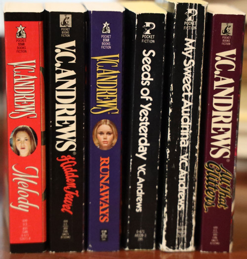 V.C. Andrews Paperback Book Lot Keyhole Covers Seeds of Yesterday/Sweet Audrina
