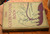 THE GOLDEN GOOSE BOOK 1905 with Drawings by L. Leslie Brooke - Frederick Warne