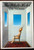 The White Hotel by D.M. Thomas 1981 Novel HC/DJ Second Printing - Sigmund Freud