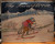 THE SNOWSTORM by Selina Chonz & Alois Carigiet 1958 Henry Z. Walck HC/DJ 1st Ed.