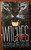 WITCHES by Kathryn Meyer Griffith 1993 Vintage Zebra Horror Paperback 1st Print