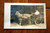 RPPC Goat Pulling Carriage with Baby U.S.A. 1921 Real Photo Postcard Unused