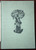 HOW GOD MADE YOU by Robert P. Odenwald 1960 HC/DJ Pictures by Mary Reed Newland