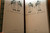 A Treasury of American Humor Westvaco Corporation Christmas 1996 HC w/ Slipcase