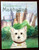 Madison in Manhattan by Amy McCready & Chrissie Dowler 2008 HC/DJ White Terrier