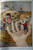 GULLIVER'S TRAVELS by Jonathan Swift 1912 Windermere Series Milo Winter Pics