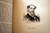 Treasures from the Prose World 1883 Prof. Frank McAlpine Illustrated Leather
