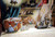 My Pop-Up Book of FAIRY TALES A Dean's Deluxe Pop-Up Book 1983 Anne G. Johnstone