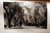 TREES AND SHRUBS OF CALIFORNIA GARDENS by Charles Francis Saunders 1926 SIGNED