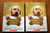 Bailey's Story by W. Bruce Cameron *2 Copies* Scholastic Paperbacks DOG & BOY
