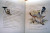 FABLES DE LA FONTAINE Illustrated Marie Angel FRENCH Peint Et Ecrit CALLIGRAPHY