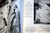 A Century More and Less BLESSED VIRGIN MARY CHURCH Lebanon PA 1980 Religious Art