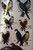 A Field Guide to the BIRDS by Roger Tory Peterson 1947 HC/DJ Eastern Land, Water