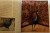 Wonders of Animal Life J.A. Hammerton 4-Vol Book Set Illustrated Natural History