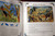 Secrets of the Pond by Ingrid Selberg/Doreen McGuiness 1993 Aquarium Illustrated