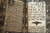 Life of HECTOR BERLIOZ Biography - Everyman's Library J.M. Dent E.P. Dutton 1903