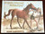 A Colt Named Mischief by Sandy Rabinowtiz 1979 Vintage Hardcover Weekly Reader