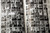 RAJAH TEMPLE 1893-1989 Reading Pennsylvania - History Yearbook - BERKS COUNTY PA