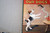 Picture Story Book 1943 Saalfield Pub. Co. DOGS CATS FARM & FOREST ANIMALS Rare