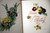 GEMS FROM RILEY - James Whitcomb Riley 1904 DeWofe Fiske Co. Antique Illustrated